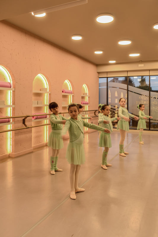 Estudio de Ballet Camila Pérez